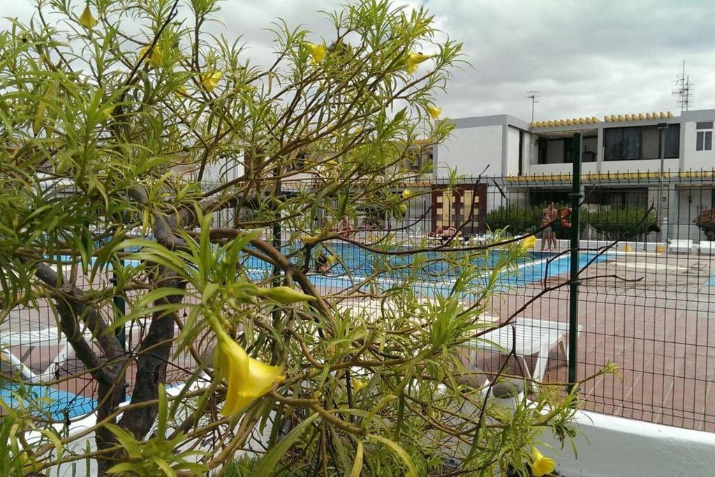 Apartamento Drago Lejlighed Costa del Silencio Eksteriør billede